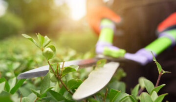 How to Keep Your Lawn and Garden Tools in Good Condition